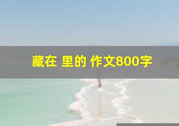 藏在 里的 作文800字